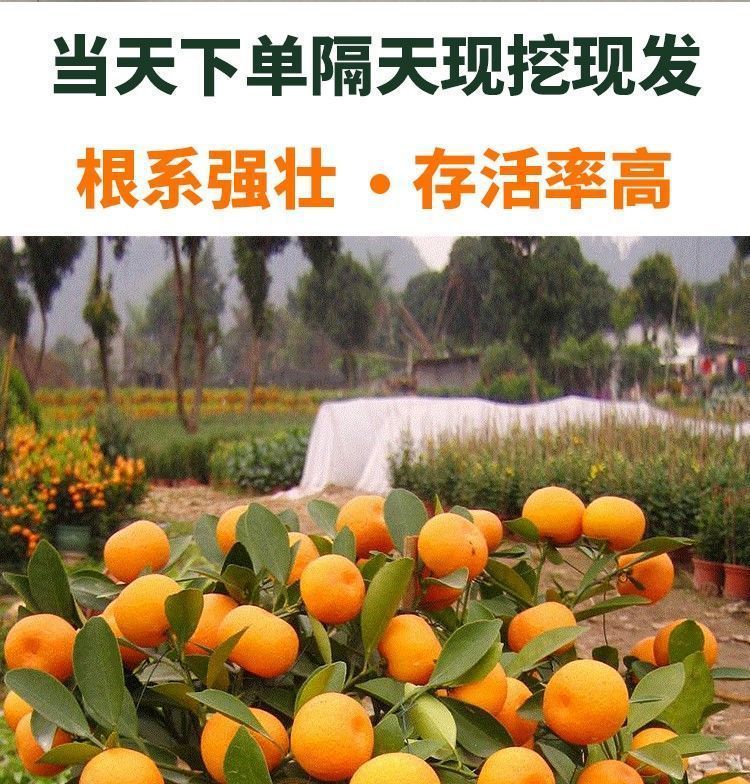 7c4b56fc-7f19-49e7-b07a-3d5c09