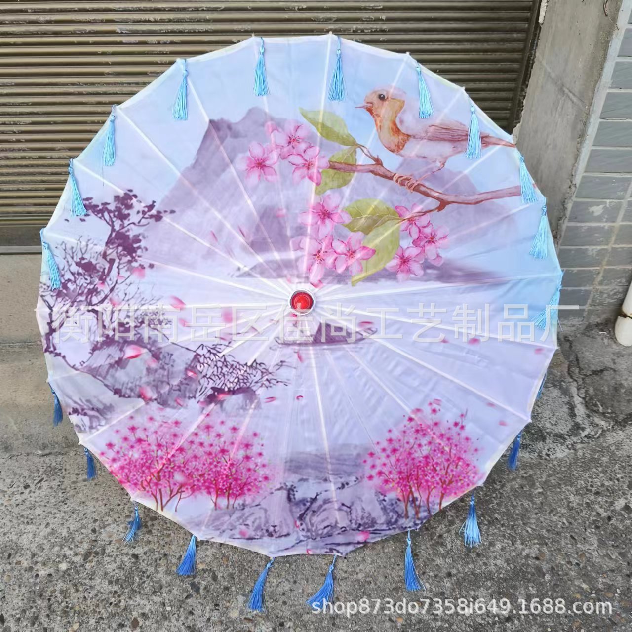 Qishan Xiushui + 하늘 푸른 술 우산