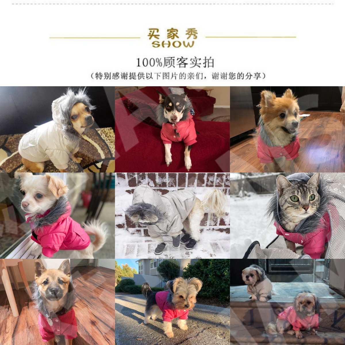 Ropa para mascotas ropa de invierno al por mayor ropa para perros otoño e invierno nuevo abajo chaqueta cachorro a prueba viento con capucha aislamiento frío