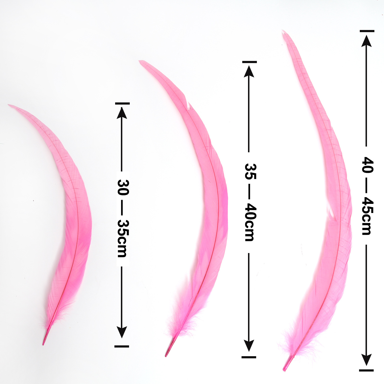 창백한 로스 레드