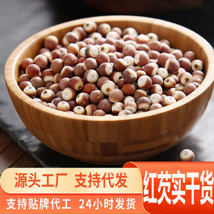 Դ�^һ�����l�t�͌���؛���w���x���w���͌��S��ֱ�N������خa