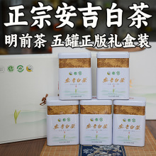 �ٷ���Ʒ�Y���b�����ײ�250g2025�����~��ǰ�²贺��һ�����l2-8B