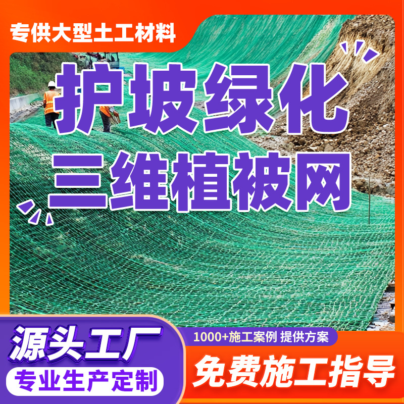 定制护坡绿化三维植被网厂家植草固土三维土工网垫加筋三维植被网