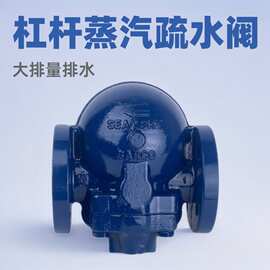 上海京蝶沪工中核苏阀 FT14H-16C杠杆浮球式螺纹不锈钢蒸汽疏水阀