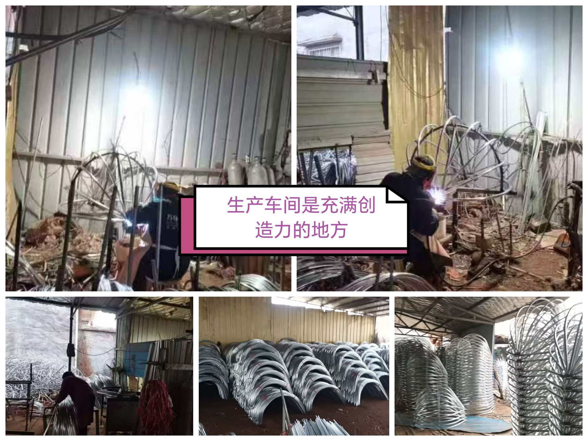 Collage_20241210_120205_edit_1