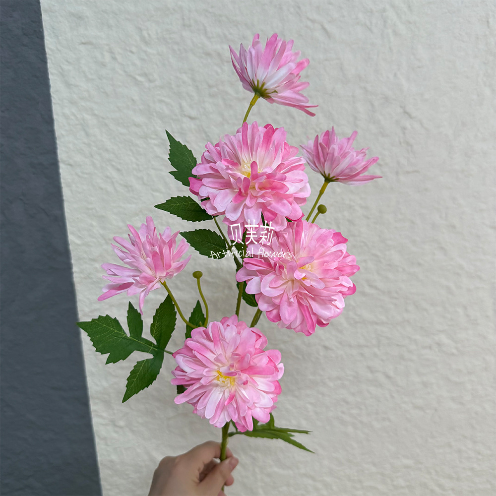 화려한 모란 6개 - 다크 핑크