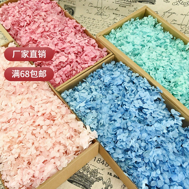 幻花永生花 AB Class Anna hydrangea 100g birthday real flower material DIY material dry flower decoration girlfriend gift