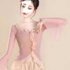 中国舞表演服现代舞练功服古典舞仙气飘逸舞蹈服长袖上衣女