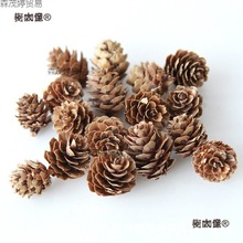 diy�����ɹ�ľƬ���~�ɻ��ɹ��M���}�Q�b�׃��@�b[������̫��