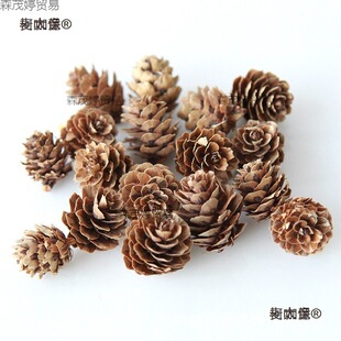 diy�����ɹ�ľƬ���~�ɻ��ɹ��M���}�Q�b�׃��@�b[������̫��