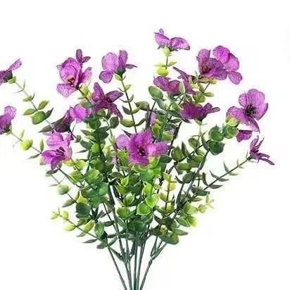 홍련 (연보라색)