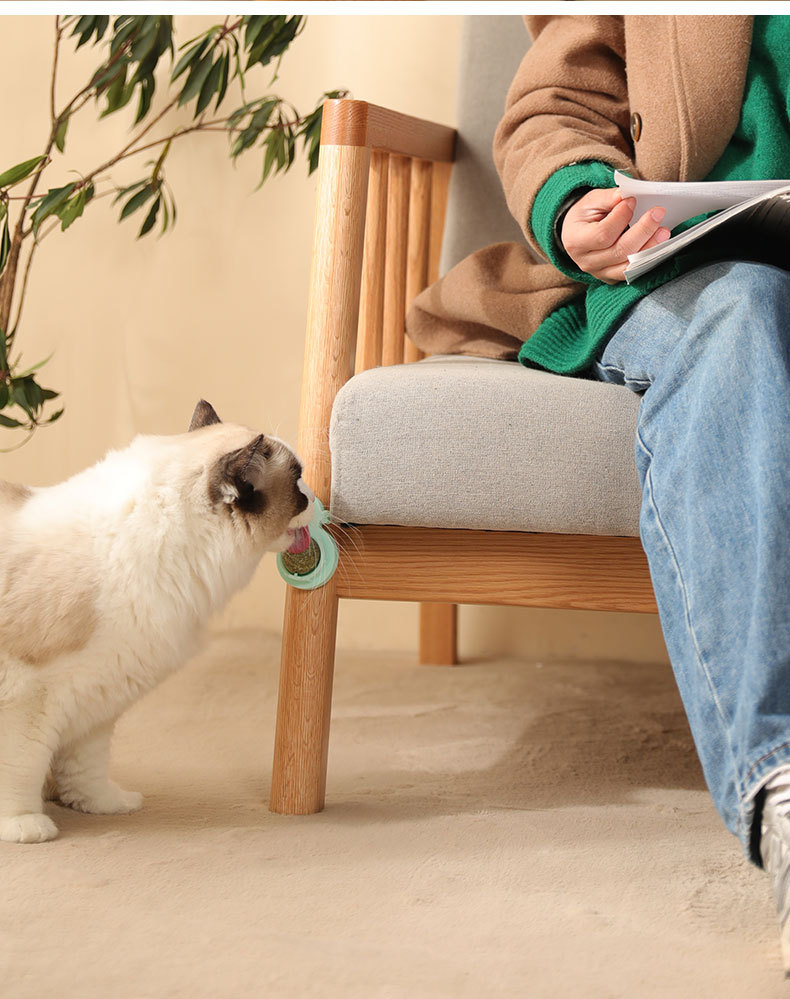 Collations pour animaux de compagnie, menthe tournante, dents grinçantes, bois de nettoyage, boules polygonum, jouets pour chats, herbe à chat_voghion.com