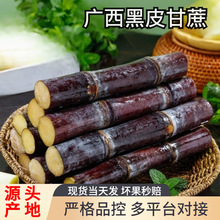 广西黑皮甘蔗斤时令当季新鲜水果脆皮甘蔗特产脆甜榨汁包一件代发
