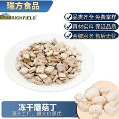 冻干蘑菇瑞方FD脱水蔬菜包蘑菇丁片双孢菇干批发可出口出口级