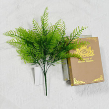 ����ާGֲ�Pβާ����ֲ��R�d�羳�ٻ����l��ƺ�쾰����Gֲ