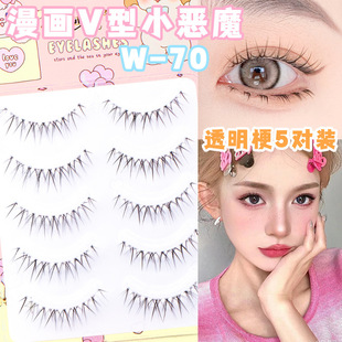 ��¹W-70͸�������l��һƬʽ̩ʽ�L�����Շ�����͸���R�ٽ�ëŮ