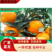 ɰ٘ӘɳǽӘͥԺԴϷNֲ