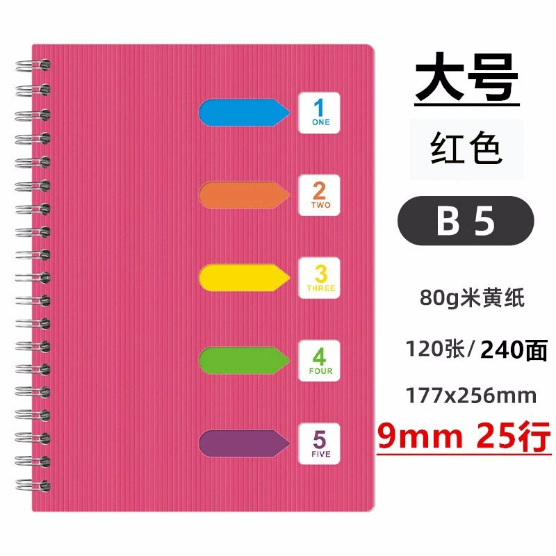Spiral Sectioned Student Notebook, Korean Style, A5/B5 with Colored Tab Dividers