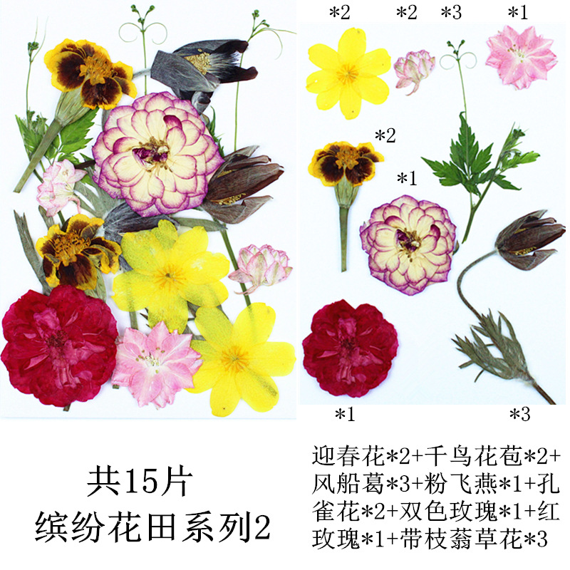 다채로운 꽃 밭 조합 2