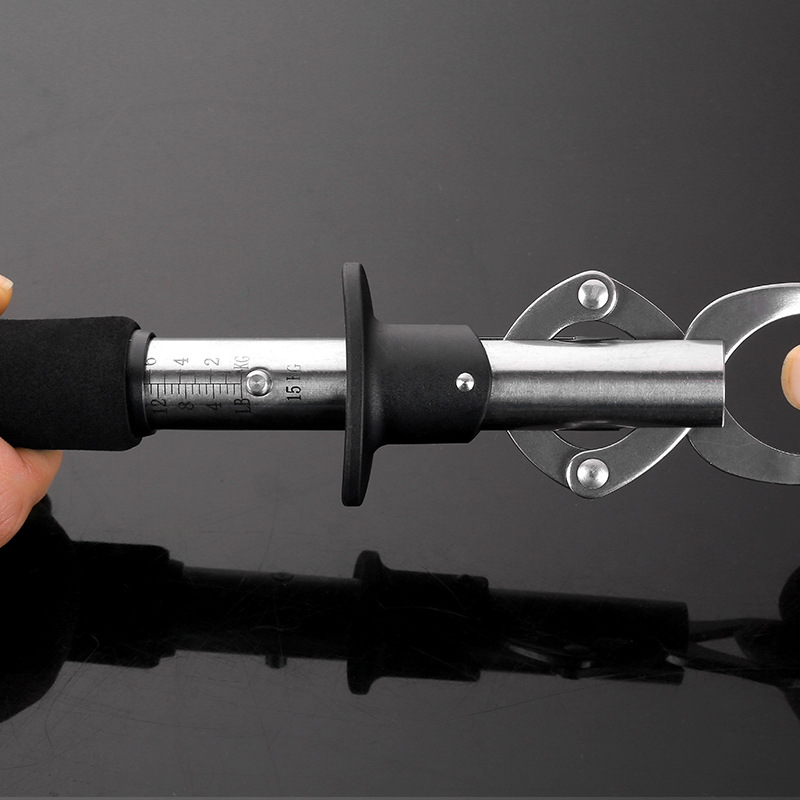 Dispositivo de control de peces con control de escala dispositivo de toma de peces grandes clip de captura de peces abrazadera de pescado traje alargado integrado colección de equipos luya