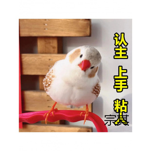 �����B����������ȸ�Ұ�������B�Ȍ����Bһ��С�B��ľ�|