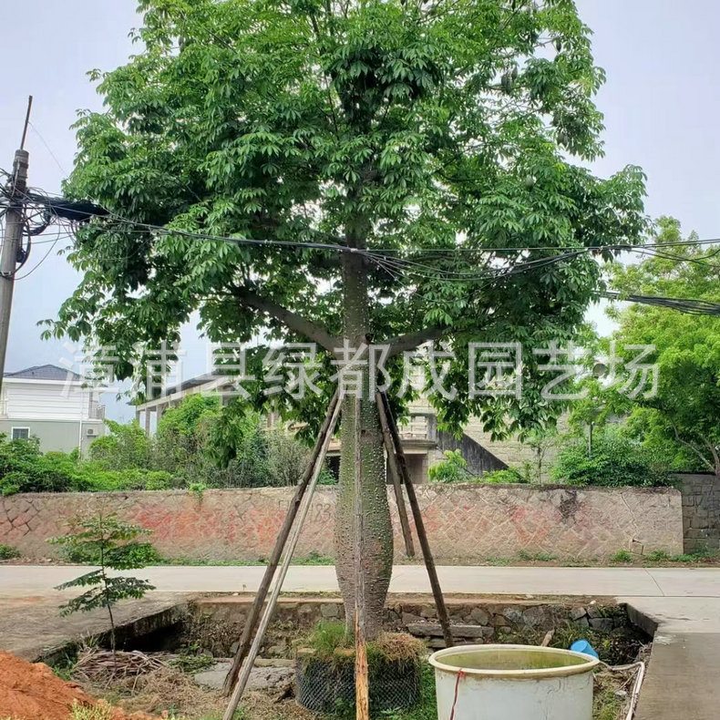 发布供应商品 - 1688.com  全球领先的采购批发平台