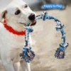 Pet toy dogs, dog rope toys, animals, molar bite ropes, Bomei interactive pull tug -in dog toy