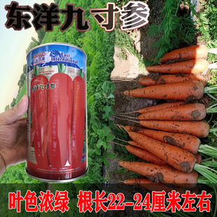 �|��Ŵ煢���}���N���͟��������rʳ�ӹ����ú��}���N���＾���N