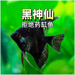 ī���~ˮ�ݸ׵�ˮ�Ꭷ�~�^�p�~�����~ī���������~�����~���w
