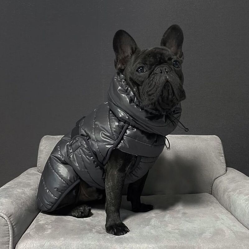 French Bulldog Clothing Autumn and Winter Fleece-Lined Thick Warm Cotton Coat Pug Bulldog Dog Pet Clothes Winter Outfit