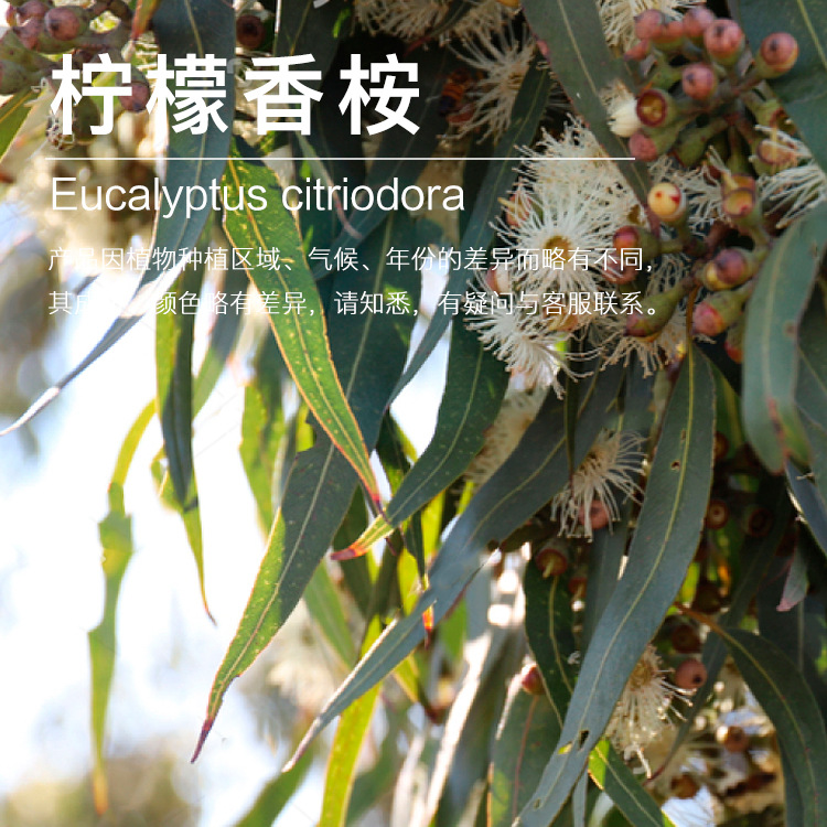 �������� �����ȼ��� ������������ȡ  ֲ�ﾫ������������