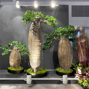 ����������޺������Gֲ���Դ�����ؔ[���b���䓴��٘�