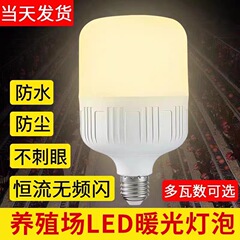 卵鶏養殖場専用照明灯暖光電球led省エネ灯e 27ねじ口商用鶏舎暖色黄光