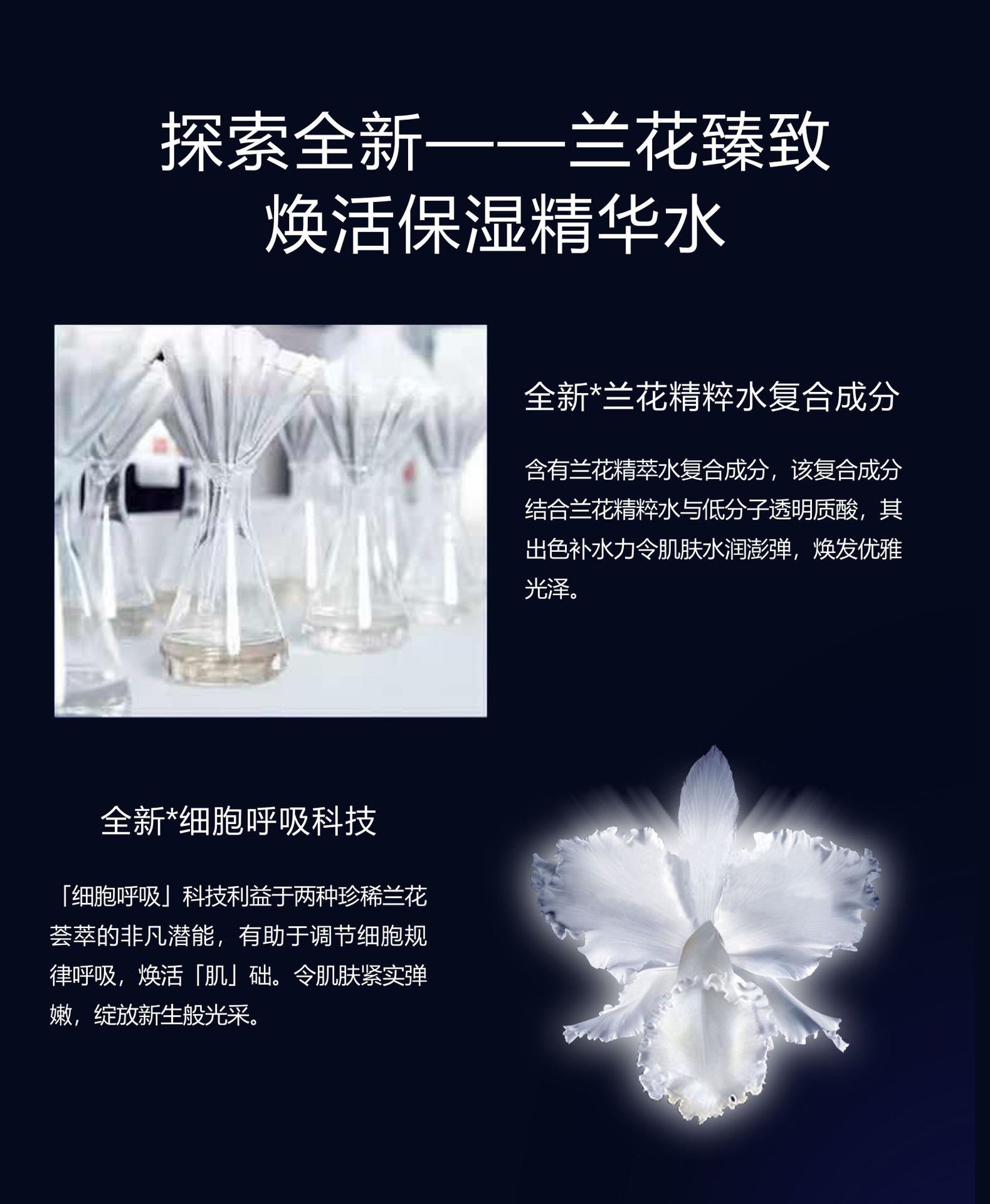 御廷兰花详情-10