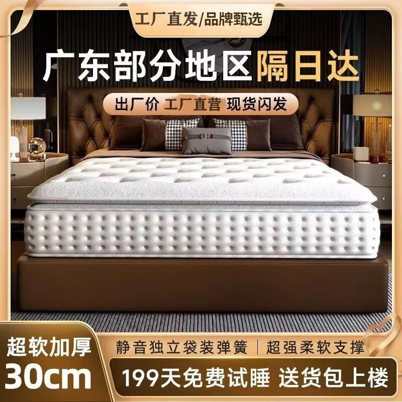 Top Ten Famous Brands: Hilton Five-Star Hotel Spring Mattress, Dual-Use Soft and Firm, Independent Spring, Latex, Coconut Palm, Thickened Top Ten Famous Brands: Hilton Five-Star Hotel Spring Mattress, Dual-Use Soft and Firm, Independent Spring, Latex, Coconut Palm, Thickened