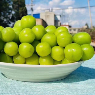 �F؛���������rˮ���o������������ӡ���r��֭����ꖹ�õ������