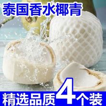 香水椰青4粒当季新鲜奶香椰子汁清甜多汁水果新日期零食直发跨境