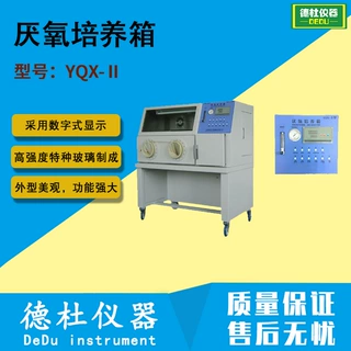 供应YQX-Ⅱ厌氧培养箱 培养难生长的厌氧生物
