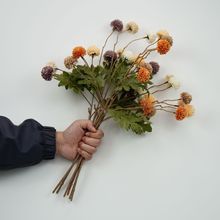 ����5�^�[����ɫϵ���滨�Ҿӈ�����ˇ�[���b��R�d�羳ֱ��