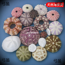 ?��Ȼ��đ��ؐ�����݄���diy���ҹ�����к��b՚��P�滨����