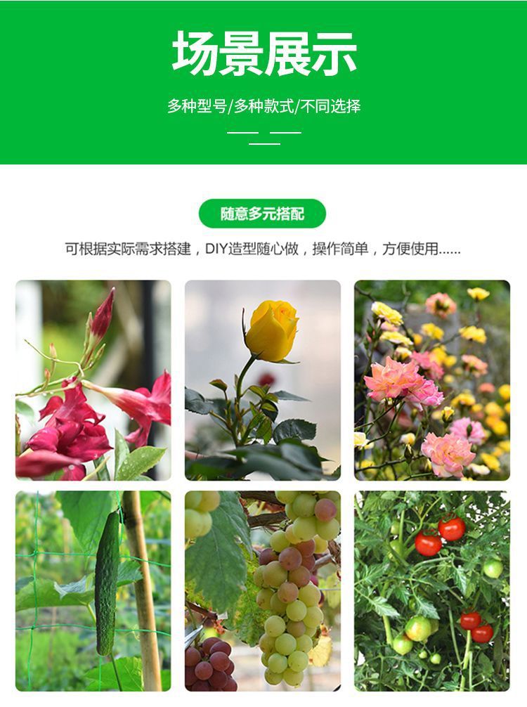 6d12e397-178f-40d2-9ce7-26ef846df389.jpe