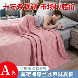 绒毯;夏凉被;其他枕芯