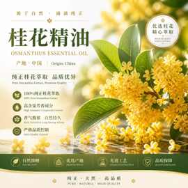 桂花精油中国产区精油芳疗精油按摩精油原料批发工业取样使用