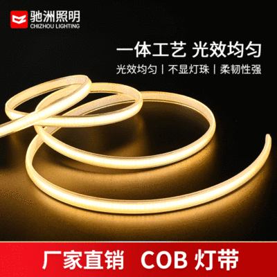 cob Lights with high pressure 220V a living room Background wall Atmosphere lamp outdoors waterproof Lighting engineering led Light belt