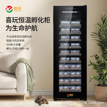 �m��ϲ���������������������������W�^�ߵ������ӟ��������ܐa��