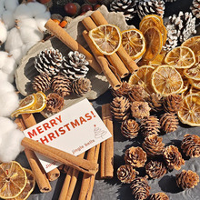 }QȻɹ}QdiylؔbˇϲϰĔz