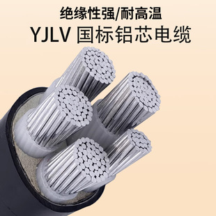 YJLV�����Xо늾�2 3 5о6 10 16 25ƽ��35�X50�������z�b��|��