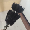 Black rabbit tail bunch of about 60 pieces