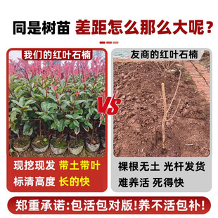 �t�~ʯ骘��������ļ����������Ե��Իh�ʘ�t�_�e����ֲ��G����