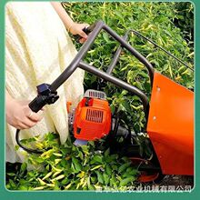 ����С���������Ƹ��C�޻��󶹽ն��ո�C�����ն��ׯ�ڸ�U�C